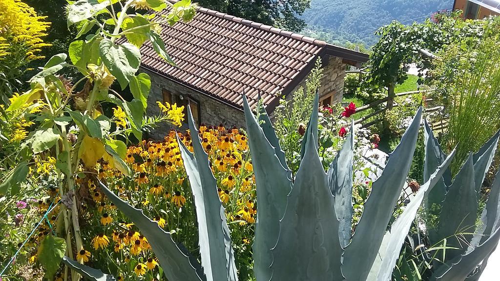 Agriturismo Zertin Gravedona Ngoại thất bức ảnh