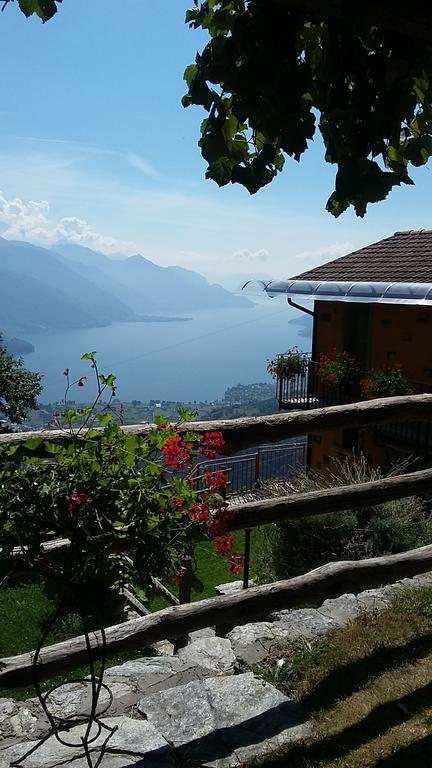 Agriturismo Zertin Gravedona Ngoại thất bức ảnh